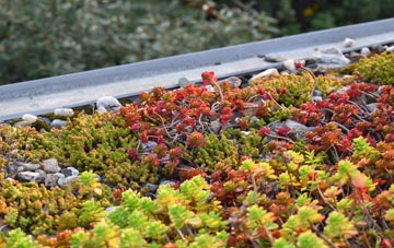 the cost of Horkstow Wolds green roof installation