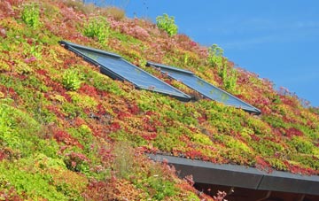 Horkstow Wolds living roof systems
