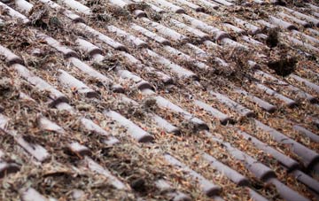 Horkstow Wolds roof cleaning companies