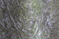 Horkstow Wolds fibreglass roof work